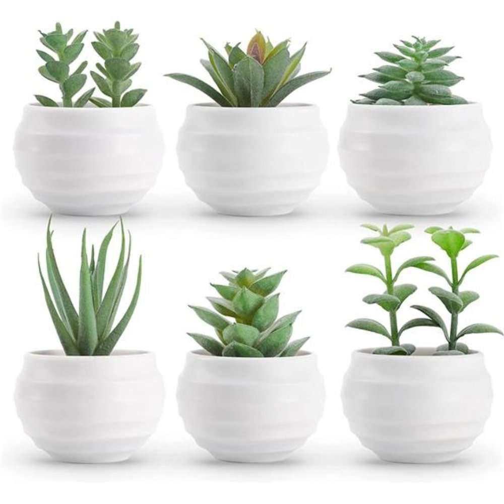 Set of 6 Succulents Plants Artificial in Pots Small Fake Plants for Bedroom